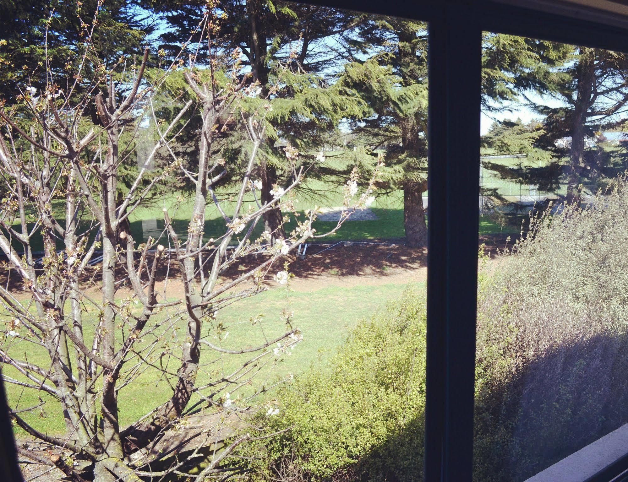 Bush Inn Court Motel Christchurch Extérieur photo